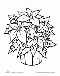 This is a downloadable (non paper. Poinsettia Plant Worksheet Education Com