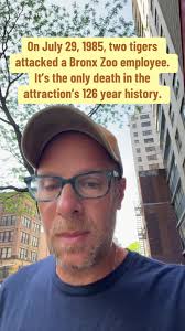 Bronx Zoo Tiger Attack: A Rare Incident in History