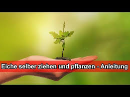 Pin Auf Haus Garten Ideen Tipps Tricks Anleitungen Diy