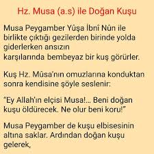 1 220 Begenme 139 Yorum Instagram Da Her Gune Bir Hikaye Hergune1hikaye Hz Musa A S Ile Dogan Kusu Musa Peygamber Yusa Ibni Nun Ile Birlikte Ciktigi In 2020