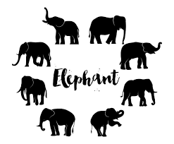 Elephant Silhouette Set This Icons Are Best Modern Or Vintage Design Theme Get It For Free Elephant Silhouette Elephant Icon Elephant