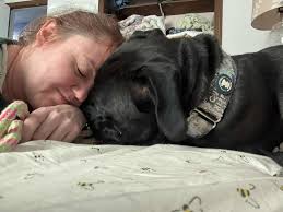 HAECHAN From Home Teaser Photos 💗 #FromHome #NCT2020 #HAECHAN #해찬 #へチャン