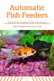 Best Automatic Fish Feeder For Flakes The Pet Supply Guy In 2020 Fish Feeder Automatic Fish Feeder Fish