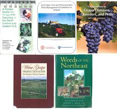 Symptom occurrence and disease management of marssonina blotch. Resources For Identification And Management Of Vineyard Pests Penn State Extension Wine Grapes U