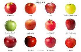 Purchase Only If You Have Access To A Printer That Can Print 11x17 Paper This Contains 12 Apple Varieties This Is A Great Poster To D Fruit Apple Apple Fruit
