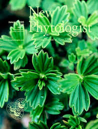 Image result for Fern Green 1994 Reliant