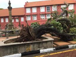 Ada banyak cara untuk akses ke tempat yang anda ingin tuju di bandar hilir melaka. Pokok Ikonik Di Bandar Hilir Tumbang Alhijrah Online