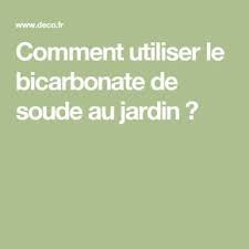 Utiliser Le Bicarbonate De Soude Dans Le Jardin Comme Desherbant Bicarbonate De Soude Soude Bicarbonate