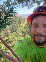 Climbing dead maples with predictable strength