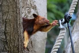 Pin On Australia A Board