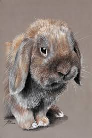 Animal Pastels Pastels Animaliers Et Equins Photographies Peintures Cuadros De Animales Ilustraciones En Colores Pastel Dibujo De Animales