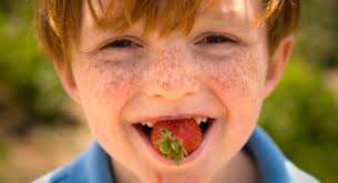 18 Things to do in the Carolinas this April