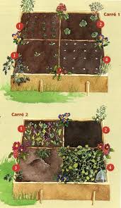 Les 5 Mois D Un Mini Potager Potager Jardin Potager Carre Potager