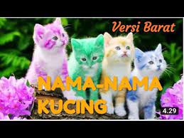 Maybe you would like to learn more about one of these? Nama Nama Kucing Nama Nama Kucing Yang Bagus Versi Barat Nama Nama Kucing Lucu Youtube