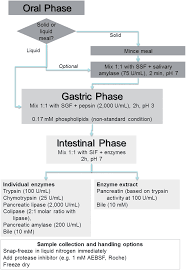 A Standardised Static In Vitro Digestion Method Suitable For