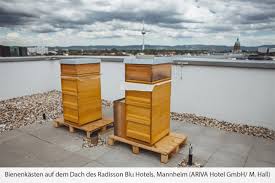 There is a parking area with space for over 1,400 cars and two electric car charging stations for our guests. Besonderen Gasten Vorbehalten Das Dach Des Radisson Blu Hotel Mannheim