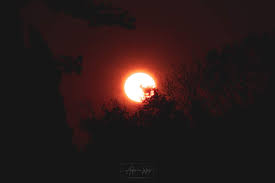 صورة قرص الشمس وقت الغروب اجمل خلفيات غروب الشمس المصمم ادم حلس