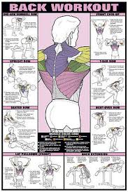 Shoulder Workout Wall Chart Professional Strength Training