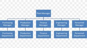 Organizational Structure Hierarchical Organization