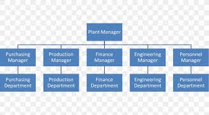 Organizational Structure Hierarchical Organization