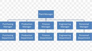 organizational structure hierarchical organization