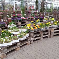 Blumen Risse Gmbh Co Kg 2 Bewertungen Mayen Am Wasserturm Golocal 3 bilder 28x28 cm früchte = 3 €.