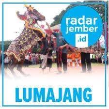 Berdasarkan pantauan jawa pos radar jember, di depan pertokoan roxy memang cukup banyak pkl. Radarjember Id Home Facebook