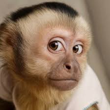 Who is the greatest R&B singer of all time?