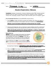 Explore learning meiosis gizmo answer key. Meiosis Lab El Gizmo Pdf Name Elizabeth Curley Date 411312 Student Exploration Meiosis Vocabulary Anaphase Chromosome Crossover Cytokinesis Diploid Course Hero
