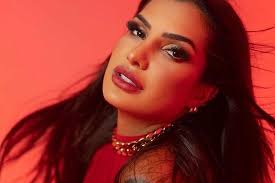 Vizinha de Carlinhos Maia, Marina Ferrari afirma estar "preocupada e  assustada" com o furto