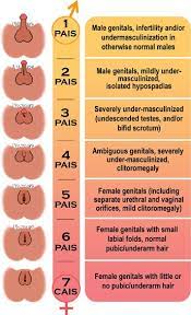Complete androgen insensitivity syndrome : Androgen Insensitivity Syndrome Springerlink
