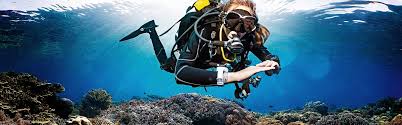 Scuba Schools International The Ultimate Dive Experience
