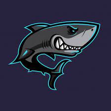 Shark Mascot Vector Design Vector Design Nature Logo Design Dolphin Drawing