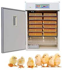 The most popular model we offer is the gqf mfg digital sportsman 1502. Incubator Professional Cabinet Incubator 2112 Eggs Incubator Fully Automatic Poultry Hatcher Machine With Temperature Control For Chicken Duck Dove Quail Amazon Ae Pet Supplies