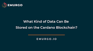 The cost of storage on a blockchain database cloud storage services work as follows: What Kind Of Data Can Be Stored On The Cardano Blockchain