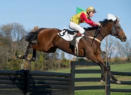 Steeplechasing is primarily conducted in ireland (where it originated), the united kingdom, canada, united states, australia and france. How A Horse With Panic Disorder Turned Into A Steeplechase Star