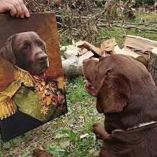 Diy pet portraits are your choice! This Company Can Turn A Pet Into A Royal Portrait And Here Are 30 Of The Best Ones Bored Panda