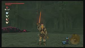 Check spelling or type a new query. Zelda Botw Flame Sword Torch Glitch Youtube