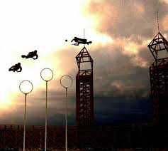 Harry Potter And The Goblet Of Fire Quidditch World Cup Teams Idea By Natalia On Harry Potter Hogwarts Draco Malfoy Draco