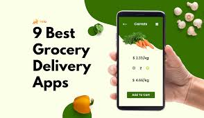 9 best grocery delivery apps of 2023 you need to know - Jungleworks