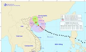 Vb ngọc anh tổng hợp. Tin Cuá»'i Cung Vá» CÆ¡n Bao Sá»' 7