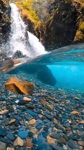 Check Our Great Collections Of Live Photos And Choose Animated Wallpaper For Home A Beautiful Scenery Nature Beautiful Nature Scenes Beautiful Photos Of Nature