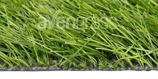 Kentucky bluegrass, fine fescue, and perennial ryegrass are the most common with turf type fescue being used at the. Artificial Grass Models For Sports Fields