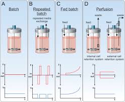 In a laboratory scale, animal cell culture under adherent conditions is traditionally made on the surface of small plastic or glass vessels. Progress And Challenges In Large Scale Expansion Of Human Pluripotent Stem Cells Sciencedirect