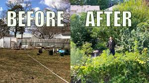 Lawn To Food Forest In 5 Years Natural Farming Permaculture Gardening The Gardening Channel With James P Permaculture Gardening Natural Farming Permaculture