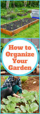 Earthworms can be very beneficial for vegetable gardens, according to sf gate. How To Organize Your Backyard Vegetable Garden The Organized Mom