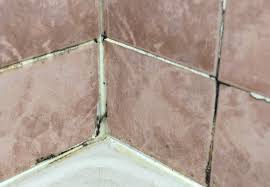 Özellikle küvet ve banyo kenarlarında oluşan sabun lekeleri kötü bir görünüme neden olur. Banyo Fayanslarini Her Zaman Temiz Kalabilmesi Icin 5 Onemli Taktik Homify