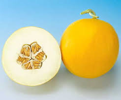 Ambrosia cantaloupe melon 50 seeds hope home goods information recipes and facts grow hybrid at seeds: Ambrosia Hybrid Cantaloupe Seeds Ws 16200 4 00 Weseeds Com