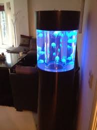 Pin On Aquarium