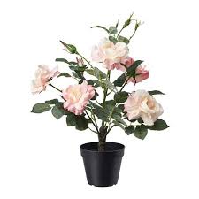 Fejka Artificial Potted Plant In Outdoor Rose Pink Get Full Product Details Ikea Artificial Potted Plants Artificial Plant Wall Artificial Flowers
